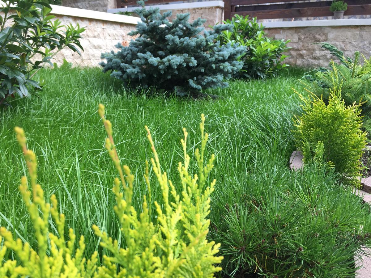 Garden Apart Predeal Extérieur photo